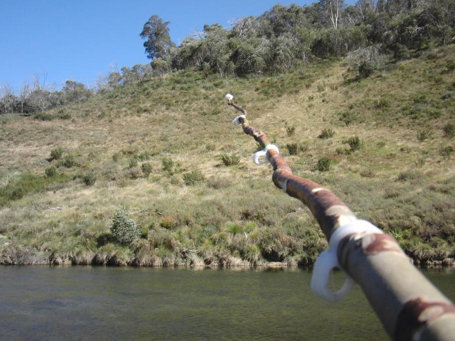 Fishing rod eyelets