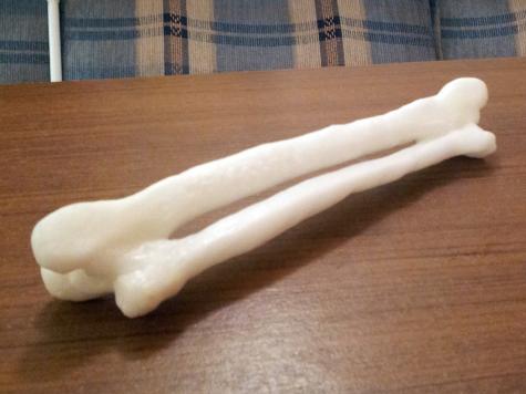 Bone model