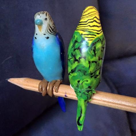 Budgerigars