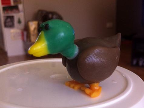 Duck model