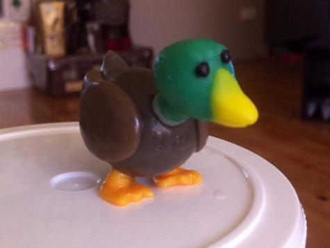 Duck model