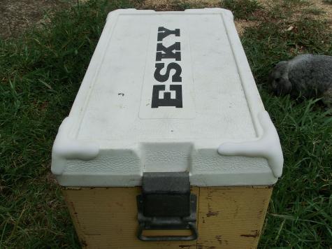 Esky lid repair