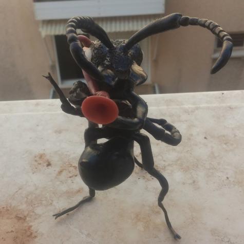 Formic alien ant