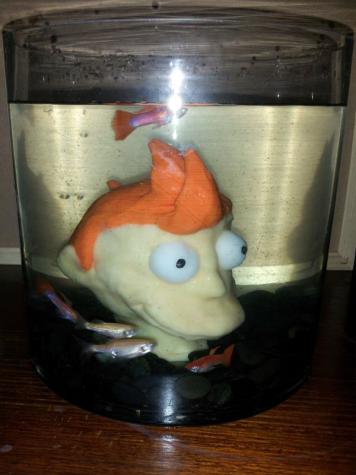 "Head in a jar" aquarium