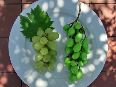 Grapes