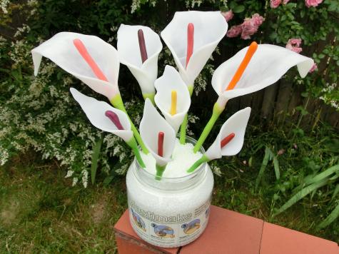 Calla Lily flowers