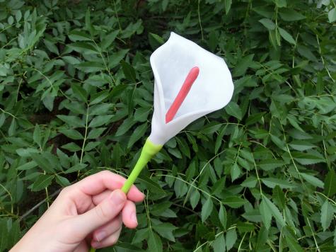 Calla Lily flowers