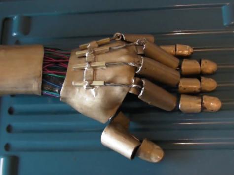 Mechanical hand