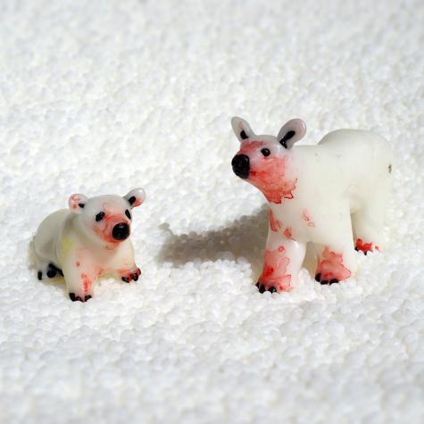 Polar bears