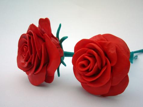 Red roses