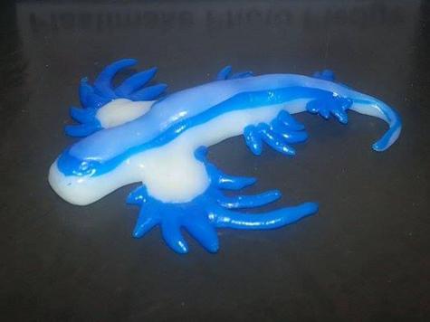 Blue sea slug