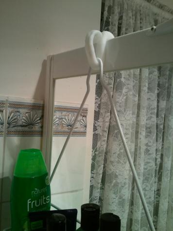 Shower hook